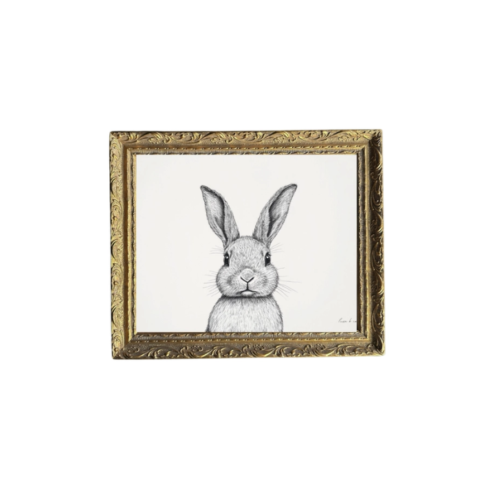 Bunny Sketch Artwork