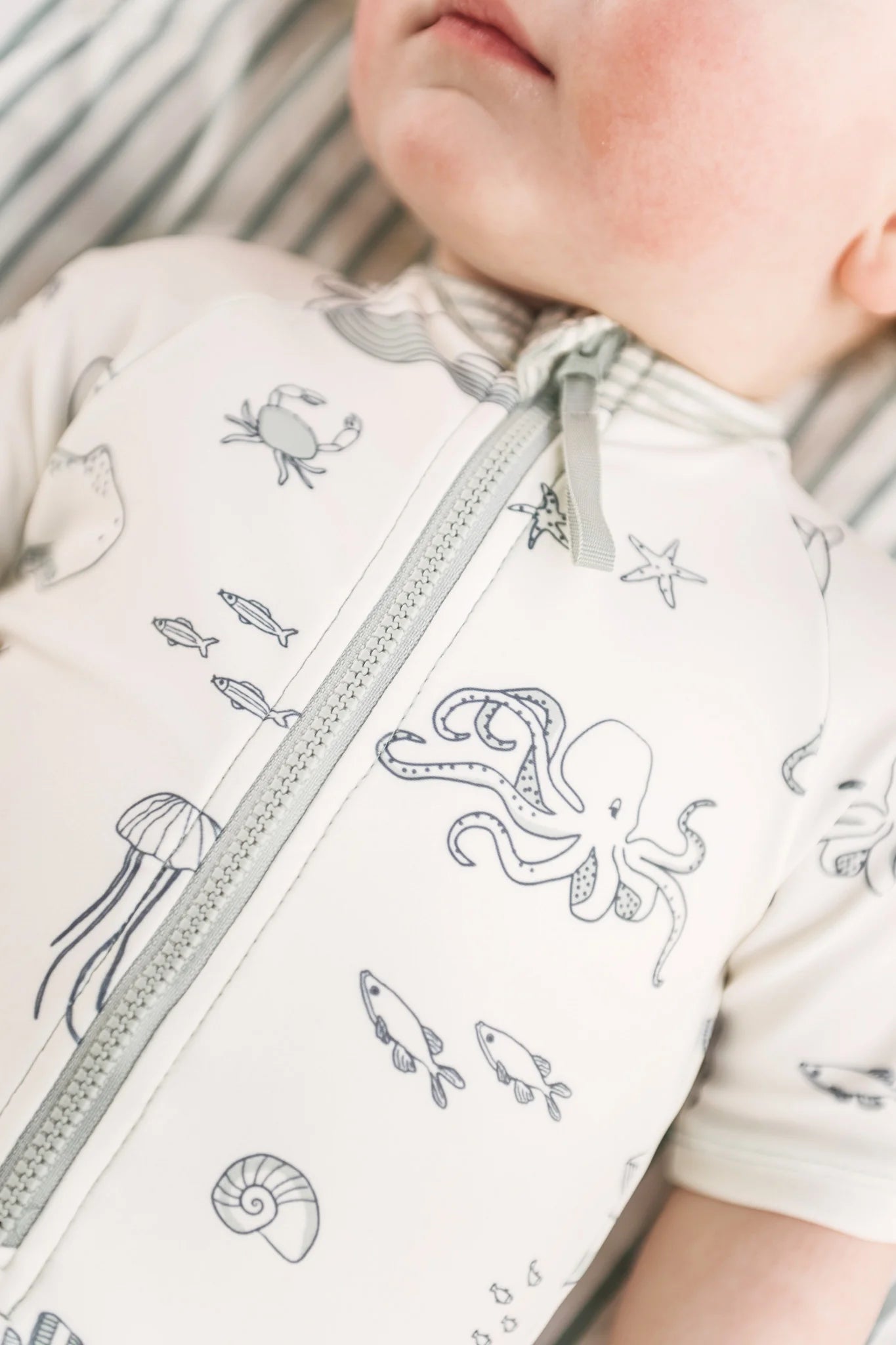 One Piece Swimsuit | Aquatic Life