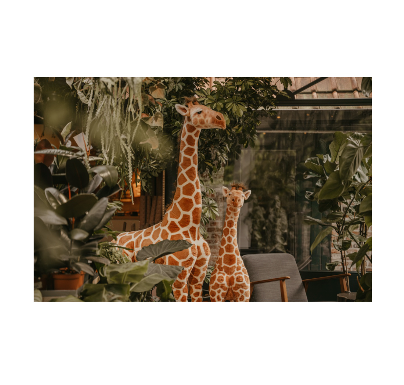 Realistic Plush Giraffe - 130cm